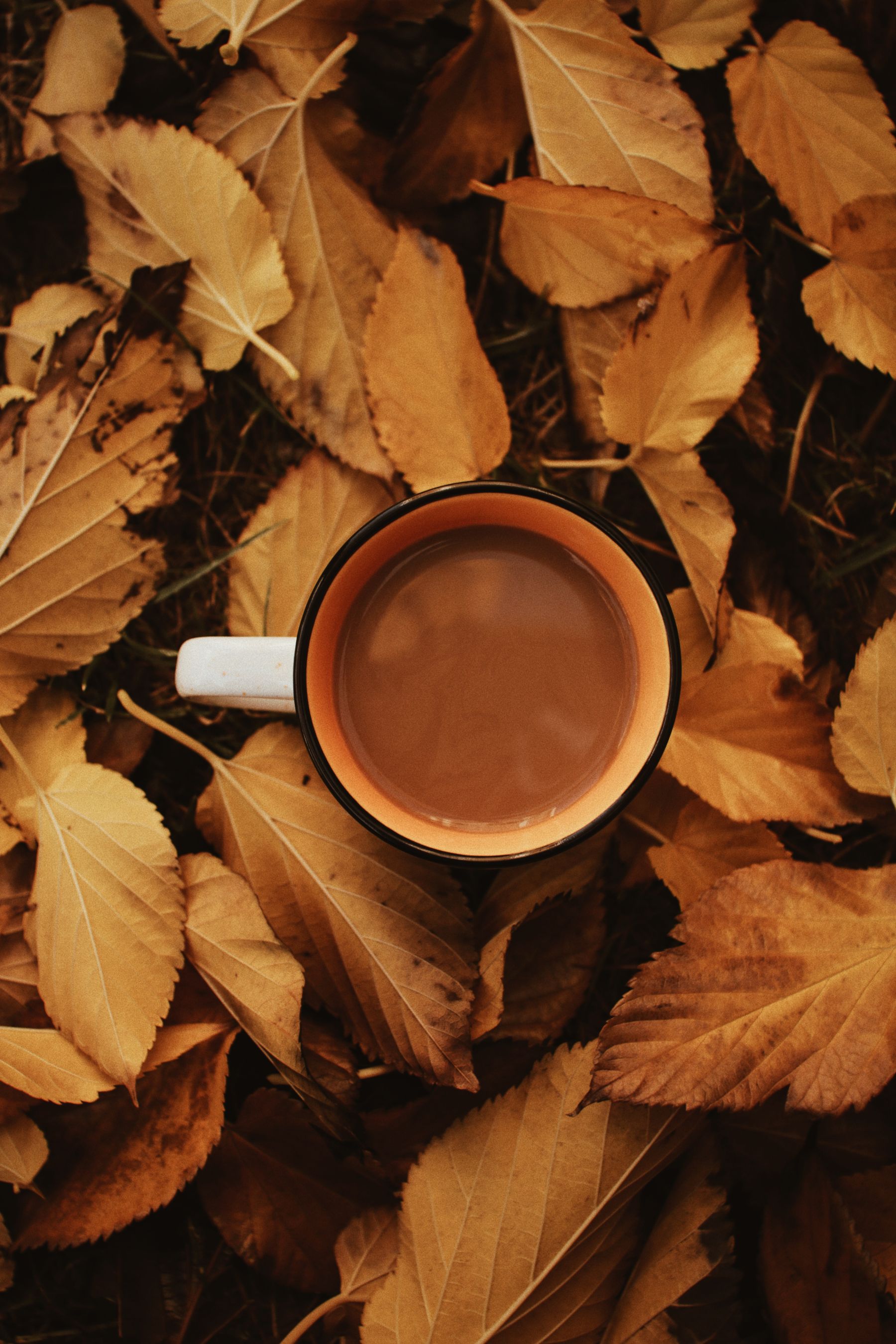 A warm mug resting on a bed of fallen autumn leaves.