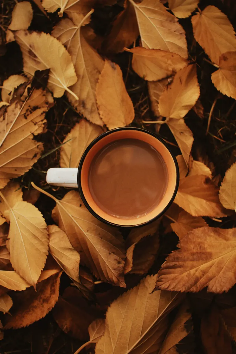 A warm mug resting on a bed of fallen autumn leaves.