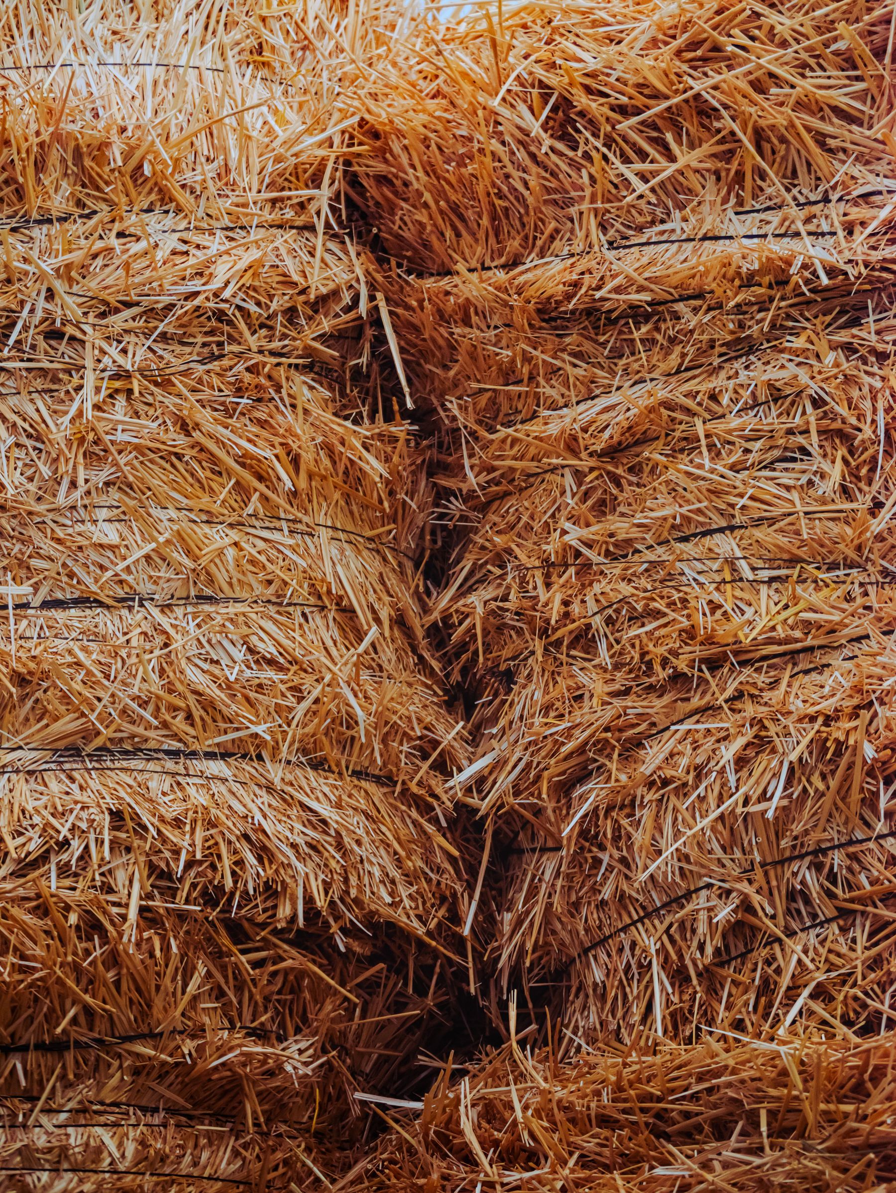 A wall of golden straw bales stacked high, forming the walls of the maze.